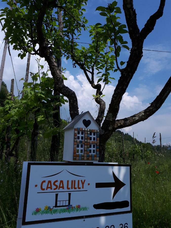 Casa Lilly Villa Beverino Luaran gambar